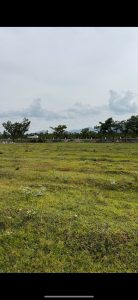 đất vườn giá rẻ dưới 100 triệu/1000m2