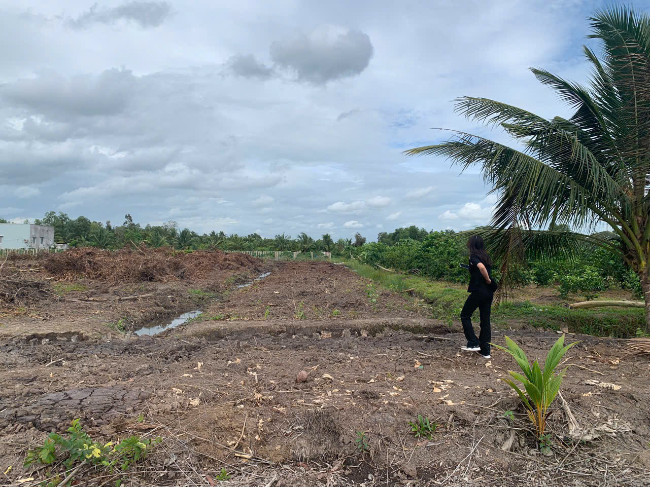 Đất vườn giá rẻ