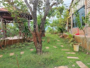 đất vườn giá rẻ