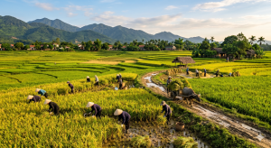 hoặc động sản