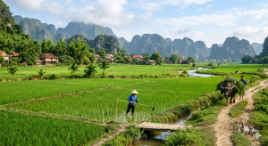 nông thôn việ tnam