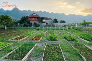 đất đa mục đích