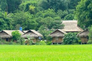 đất nông nghiệp làm homestay