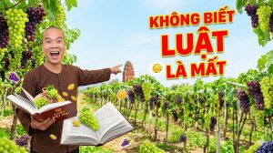 Đất Nông Nghiệp 2026