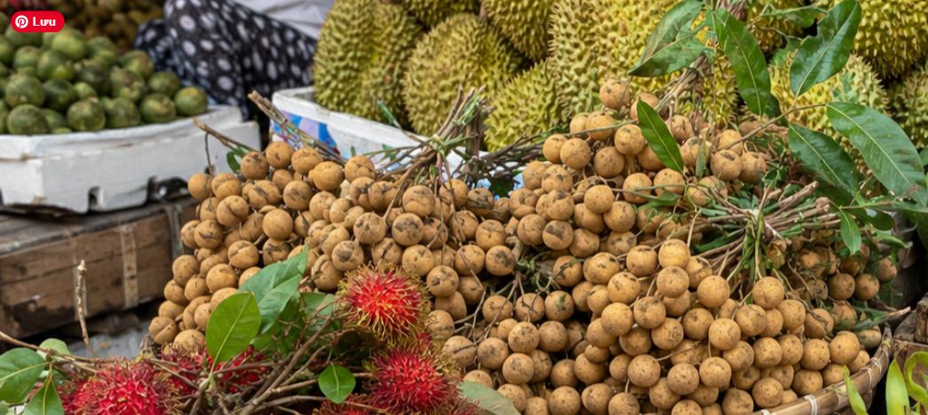 chợ trái cây sầu riêng nhãn cây ăn trái đất nông nghiệp Việt Nam