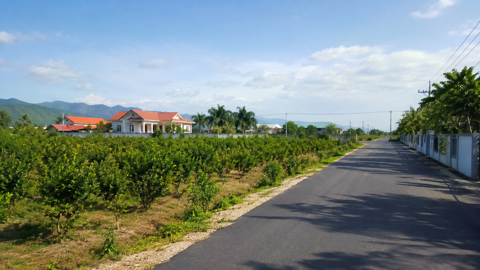 Đất nông nghiệp trồng cây lâu năm sát khu dân cư, có đường nhựa mới ở Nha Trang Khánh Hòa