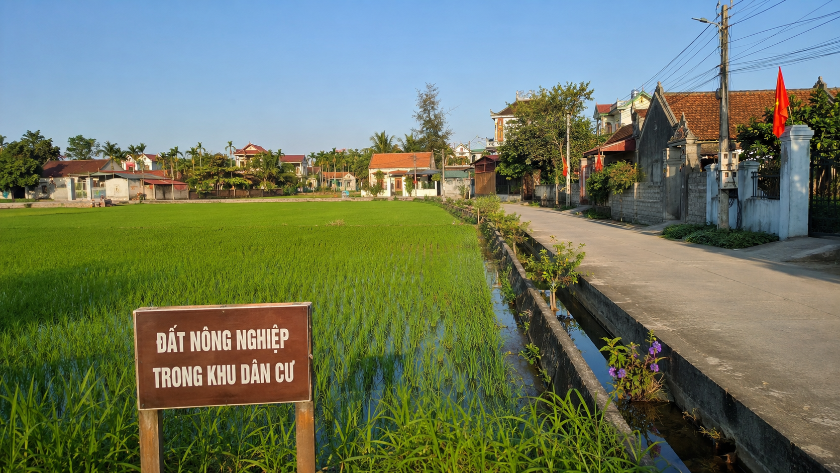 Đất nông nghiệp trong khu dân cư nông thôn Việt Nam