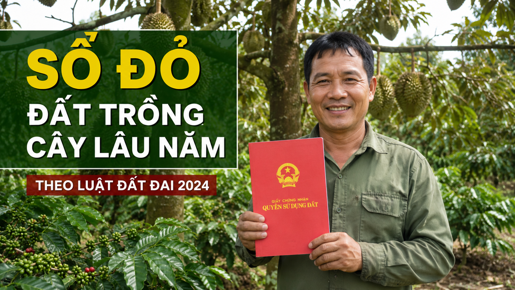 Đất trồng cây lâu năm được cấp sổ đỏ trong 30 ngày