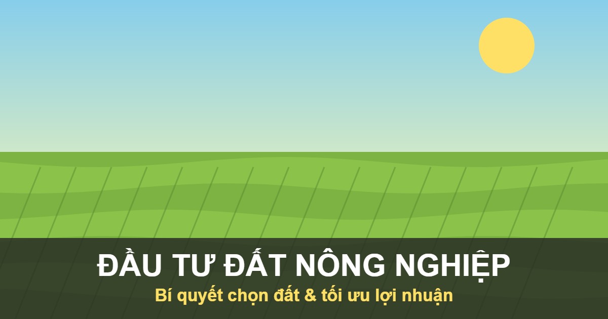 Đầu tư đất nông nghiệp - bí quyết chọn đất và tối ưu lợi nhuận