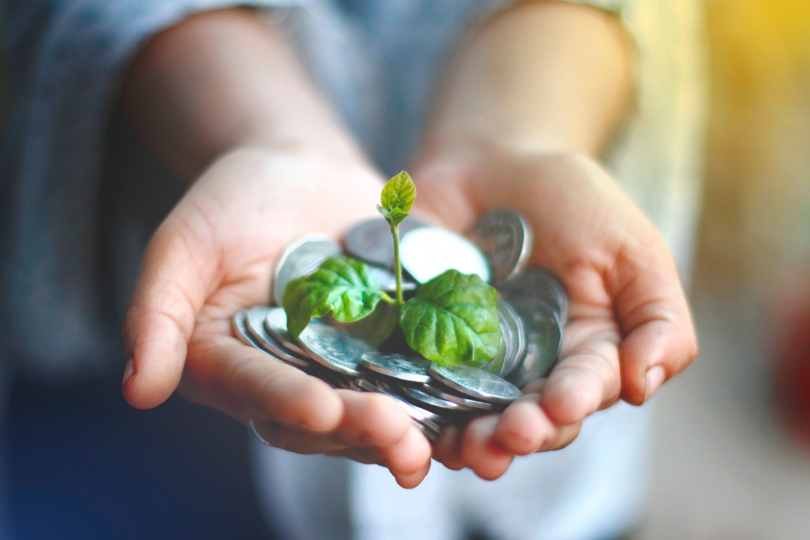 Thu nhập thụ động giúp tiền tự sinh lời và hướng tới tự do tài chính