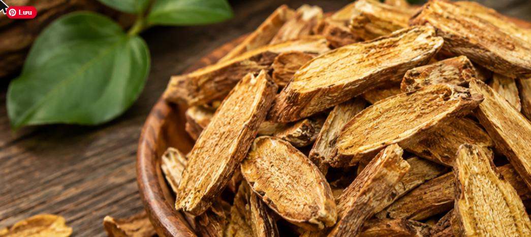 Rễ cây Xáo Tam Phân khô màu nâu vàng – giá trị cao nhất của cây dược liệu quý
