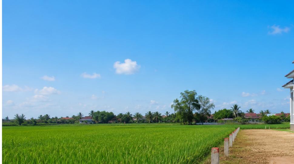 Chuyển đổi mục đích sử dụng đất nông nghiệp sang đất ở để xây nhà