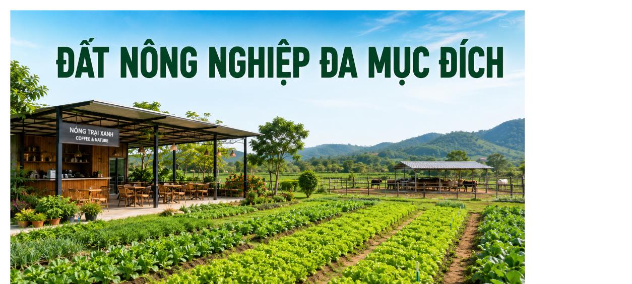 Đất nông nghiệp đa mục đích kết hợp quán cà phê, trồng trọt và chăn nuôi theo Luật Đất đai 2024