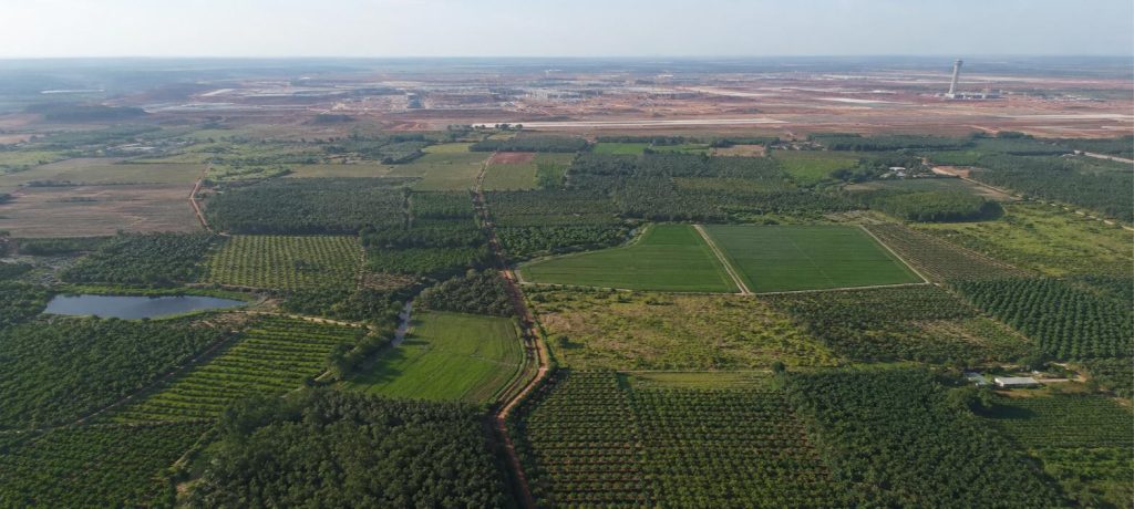 Đất nông nghiệp Đồng Nai rộng lớn nhìn từ trên cao, phía xa là sân bay Long Thành