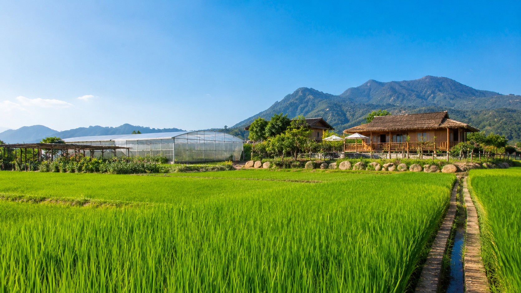 Đất nông nghiệp kết hợp farmstay du lịch sinh thái theo Luật Đất đai 2024