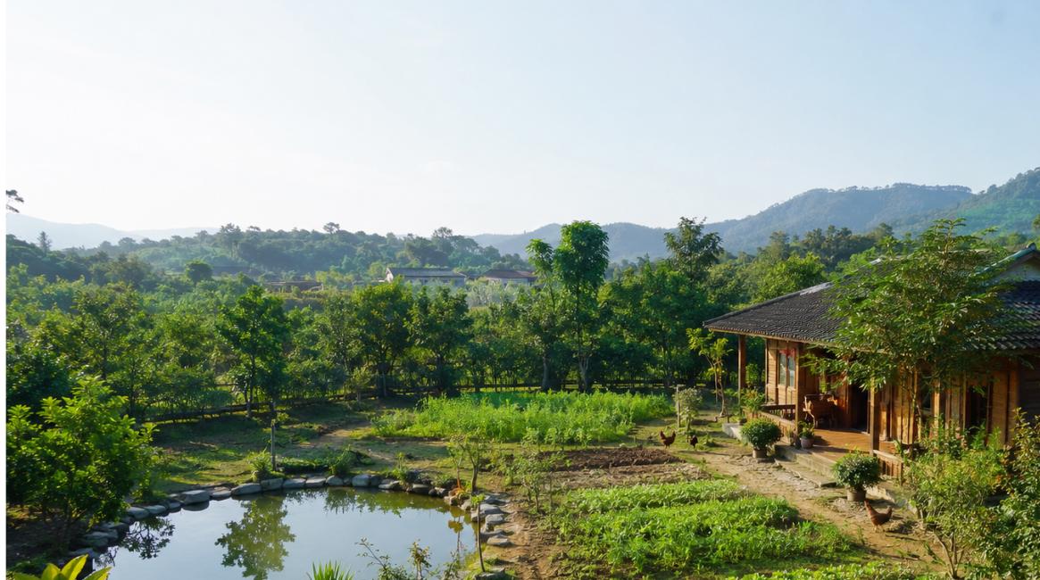 Đất nông nghiệp làm nhà vườn thực tế Đất nông nghiệp làm nhà vườn với căn nhà gỗ, ao cá và vườn cây xanh