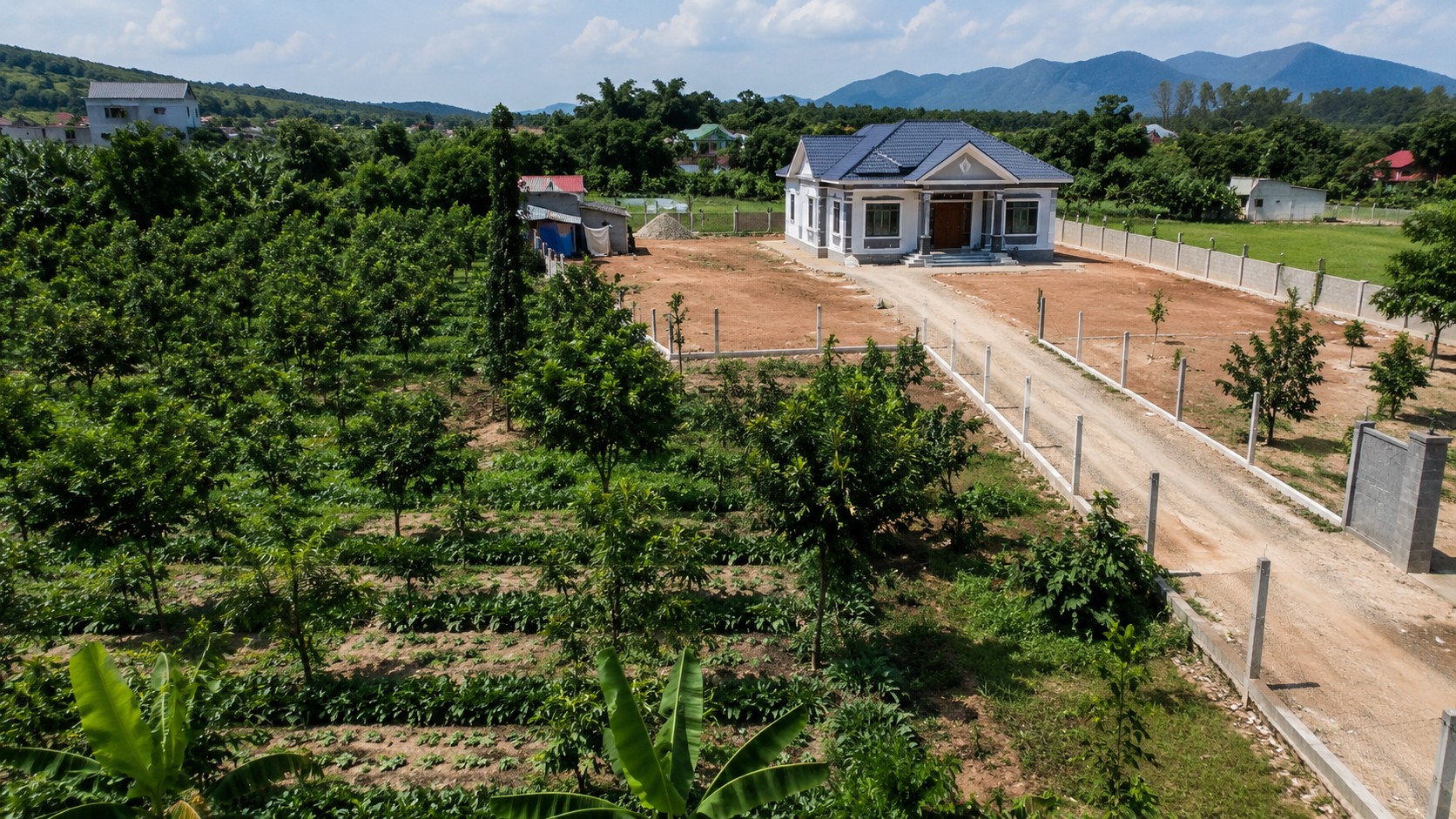 Đất nông nghiệp vườn cây trước khi chuyển đổi mục đích sử dụng đất sang thổ cư