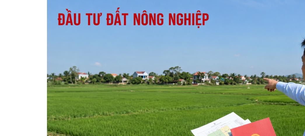 Đầu tư đất nông nghiệp 2026 - nhà đầu tư kiểm tra sổ đỏ trên cánh đồng lúa
