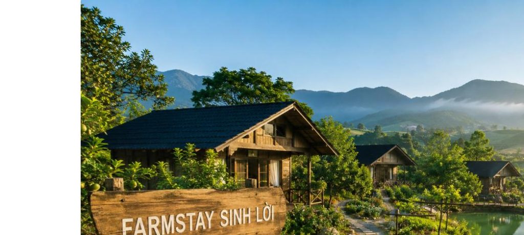 Mô hình farmstay sinh lời trên đất vườn với nhà gỗ nghỉ dưỡng