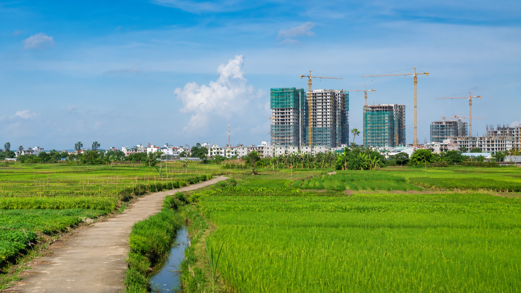 Giá đất nông nghiệp vùng ven đô tăng khi đô thị hóa