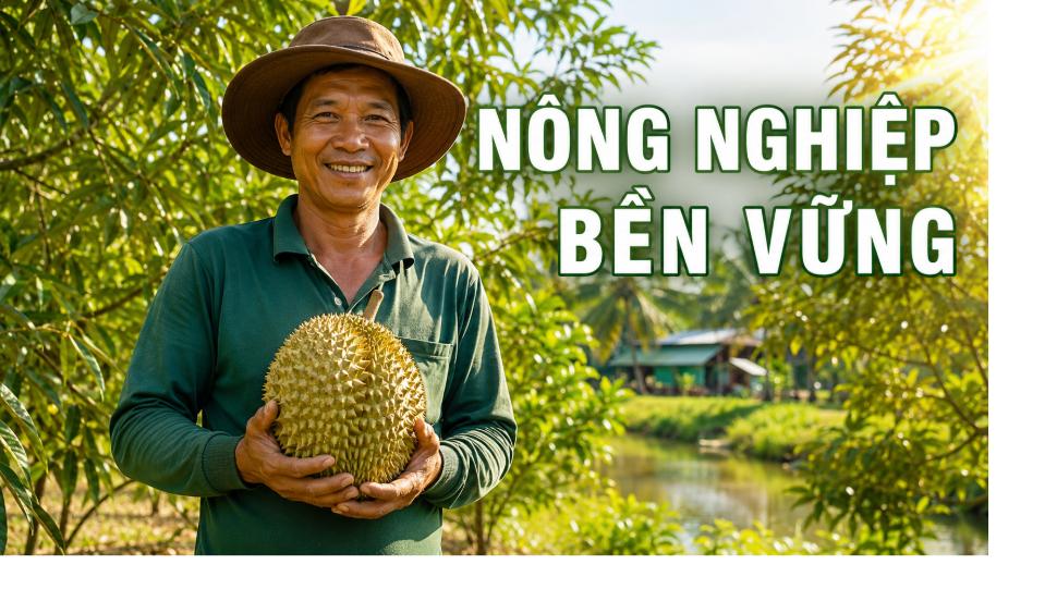 Nông nghiệp bền vững - nông dân miền Tây trong vườn sầu riêng hữu cơ