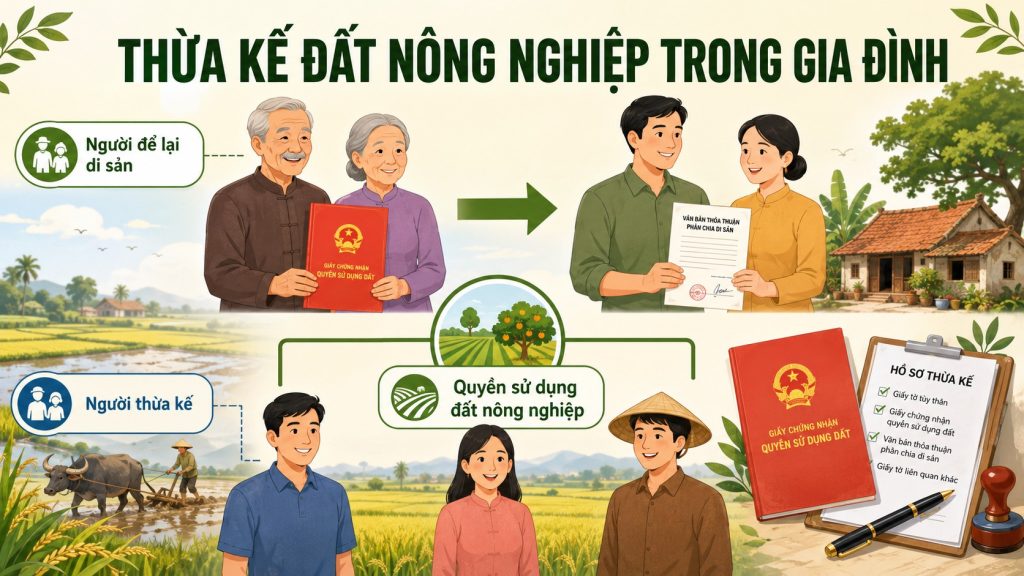 Sơ đồ ba hàng thừa kế đất nông nghiệp trong gia đình