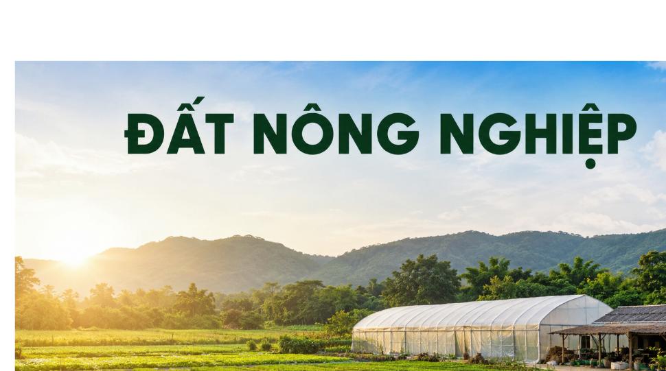 Đất nông nghiệp và quy định xây dựng theo Luật Đất đai 2024
