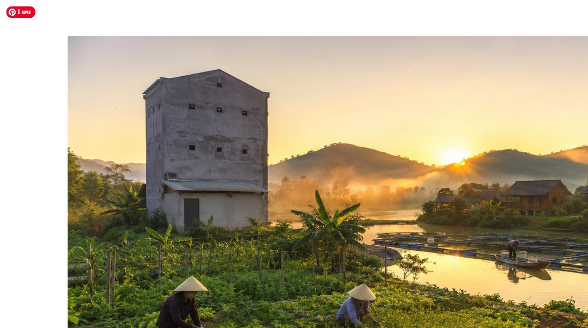 9 nghề thu nhập tỷ đồng tại nông thôn trên đất nông nghiệp